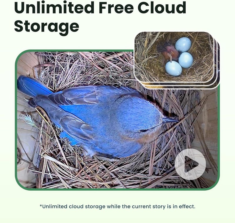 Birdfy Bird House with Camera Inside with Iron Guard, AI Identify & Nest Story, 1080P HD & Night Vision for Bluebird Finch Swallow Wren Chickadee Nesting Watching, Auto Detect & Notify - Image 4